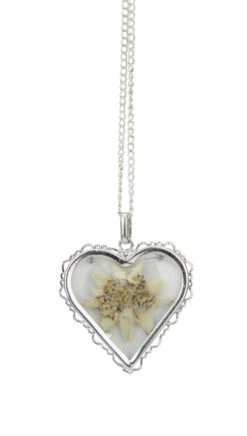 Real Edelweiss Heart Shaped Pendant German Necklace